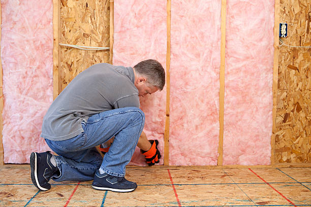 Best Geographic-Specific Insulation Services in Sebewaing, MI
