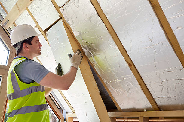 Best Residential Insulation in Sebewaing, MI